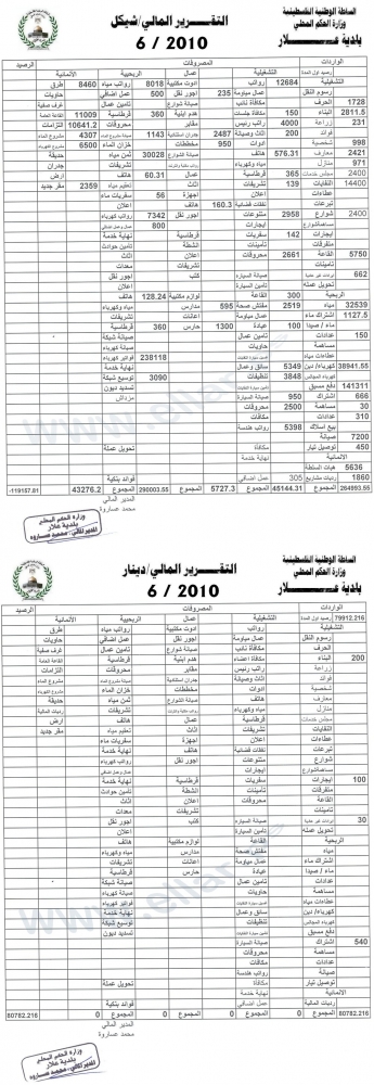 التقرير المالي لشهر 6/2010 - قائمة الأداء
