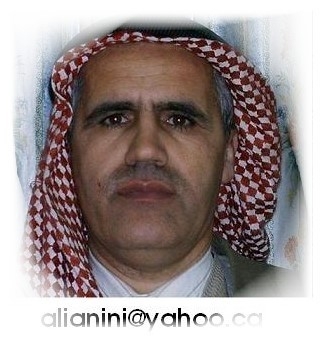 عبارات أعجبتي‎