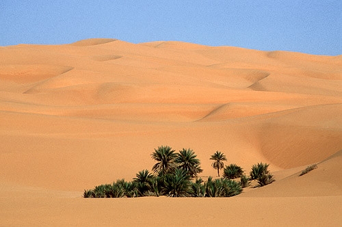 التعصب بالرأي وعدم الإستماع للحقيقة على ماذا يدل؟ التعصب بالرأي وعدم الإستماع للحقيقة على ماذا يدل؟