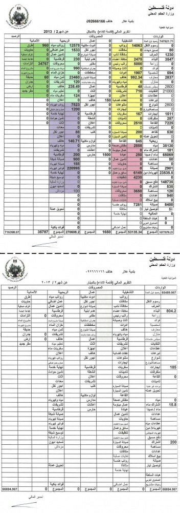 التقرير المالي لشهر 2/2013