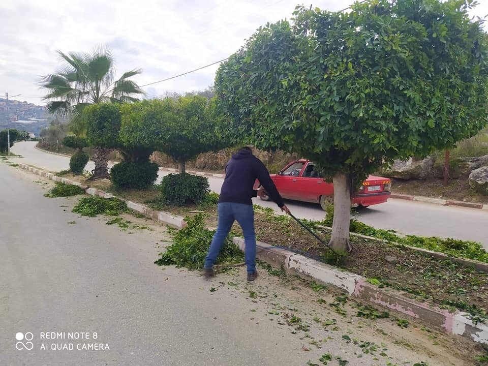 قامت بلدية علار اليوم بقص الاشجار على المدخل الغربي