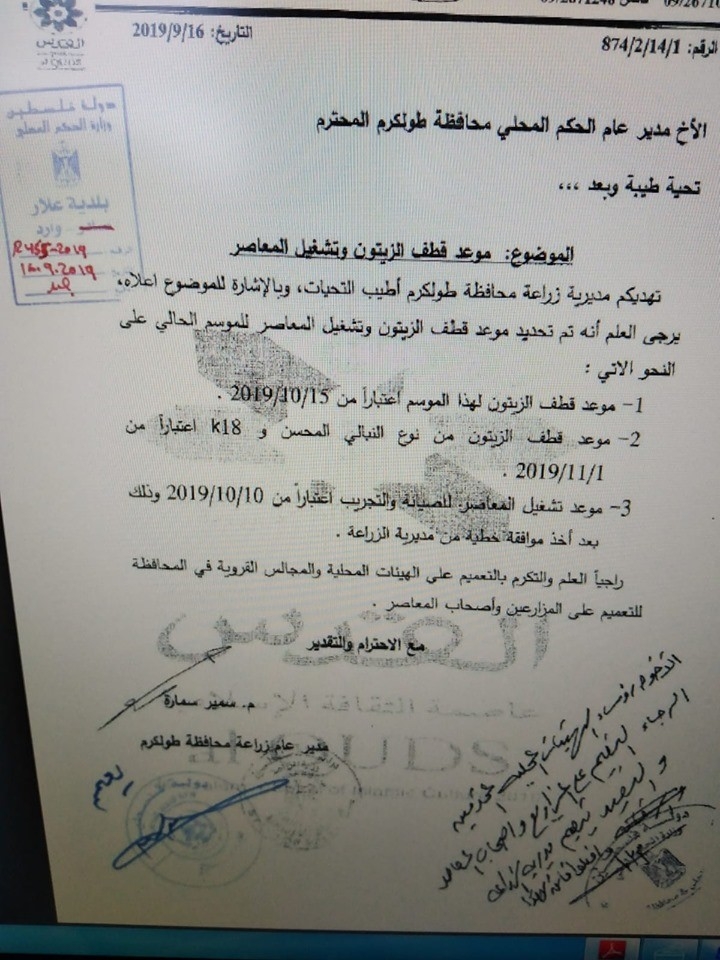 تعميم