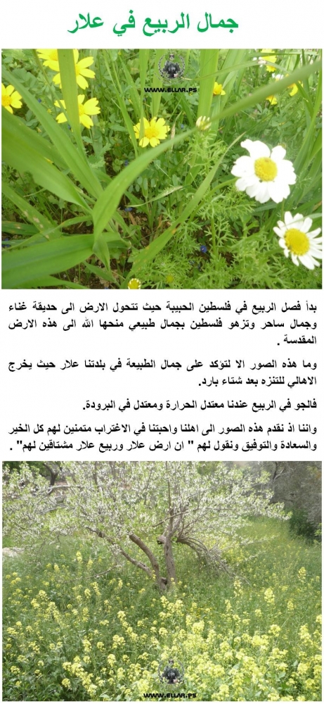 الخيانــــة الخيانــــة