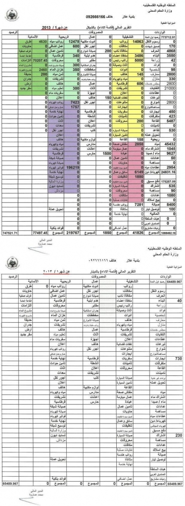 التقرير المالي لشهر 1/2013