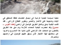 قصة الحكيم والعقرب