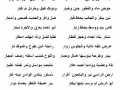 قصيدة