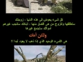 بخصوص عيادة الاسنان