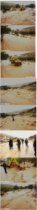 تهنئة